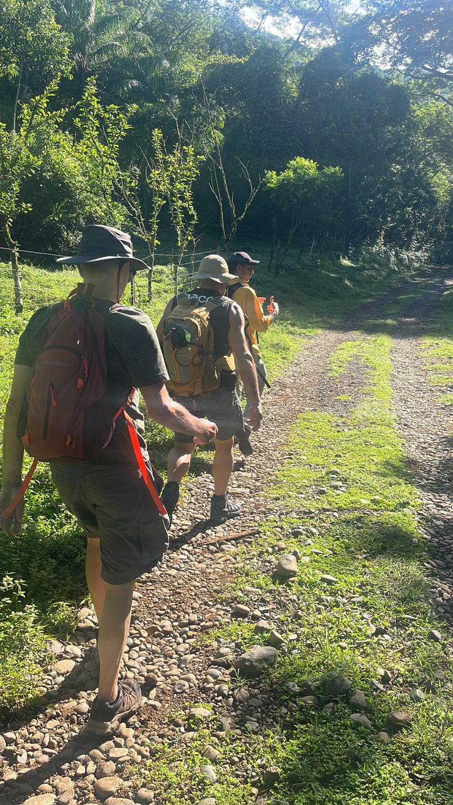 Travelers walking a nature trail during a Boquete tour experience